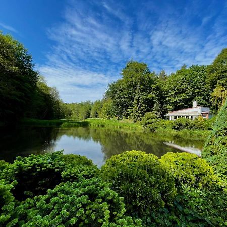 Domek W Glebi Lasu Nad Stawem Wierszyno エクステリア 写真