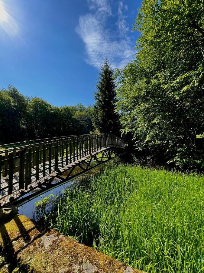 Domek W Glebi Lasu Nad Stawem Wierszyno エクステリア 写真