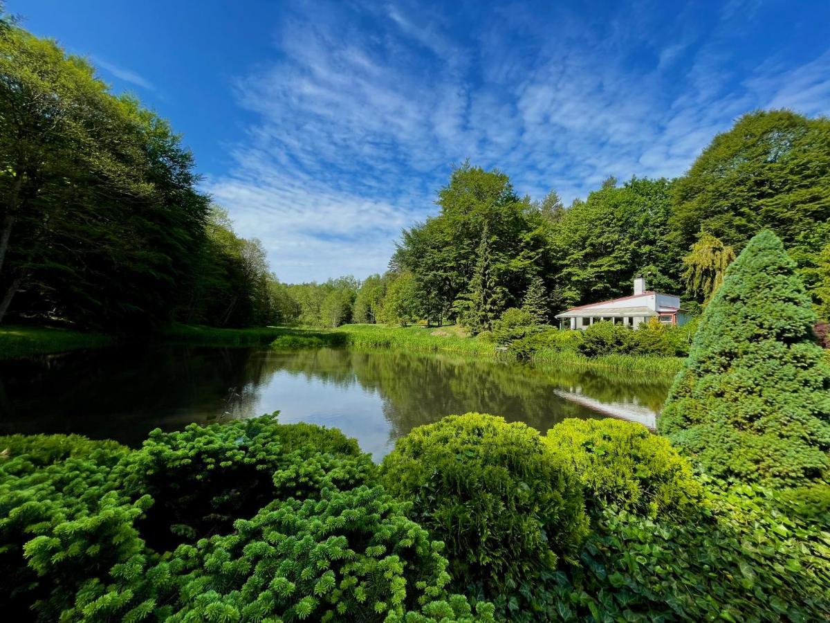 Domek W Glebi Lasu Nad Stawem Wierszyno エクステリア 写真