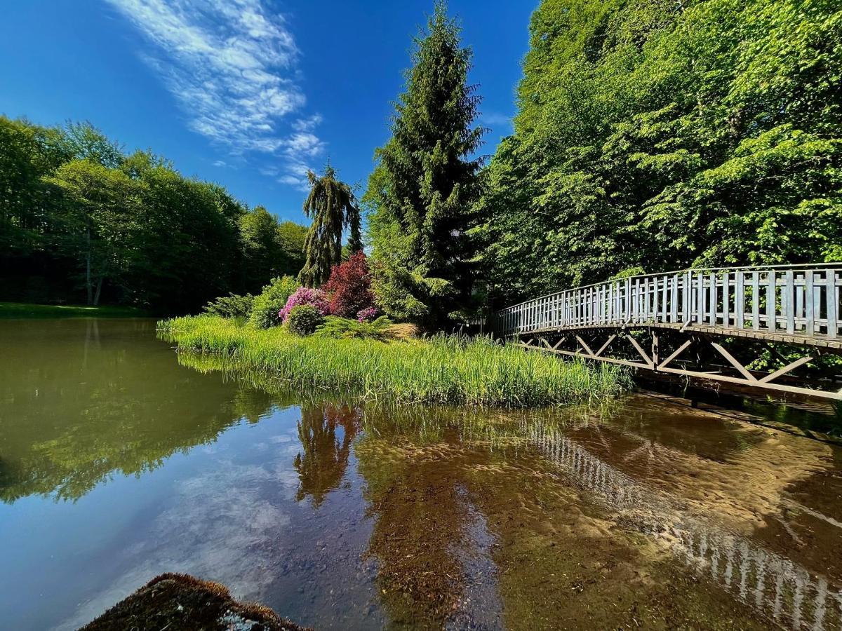 Domek W Glebi Lasu Nad Stawem Wierszyno エクステリア 写真